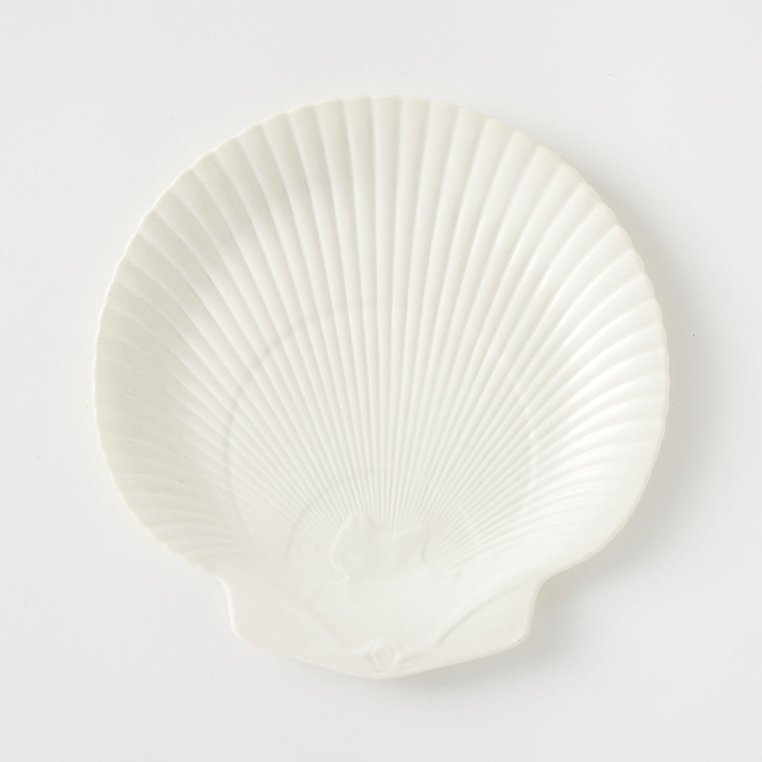 Set of 6 Wedgwood Vintage Nautilus Plates