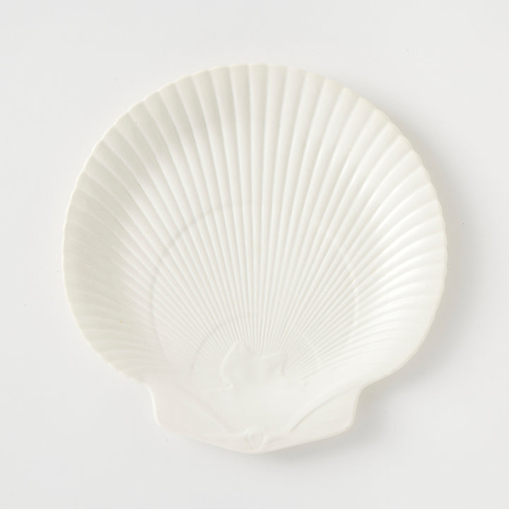 Set of 6 Wedgwood Vintage Nautilus Plates