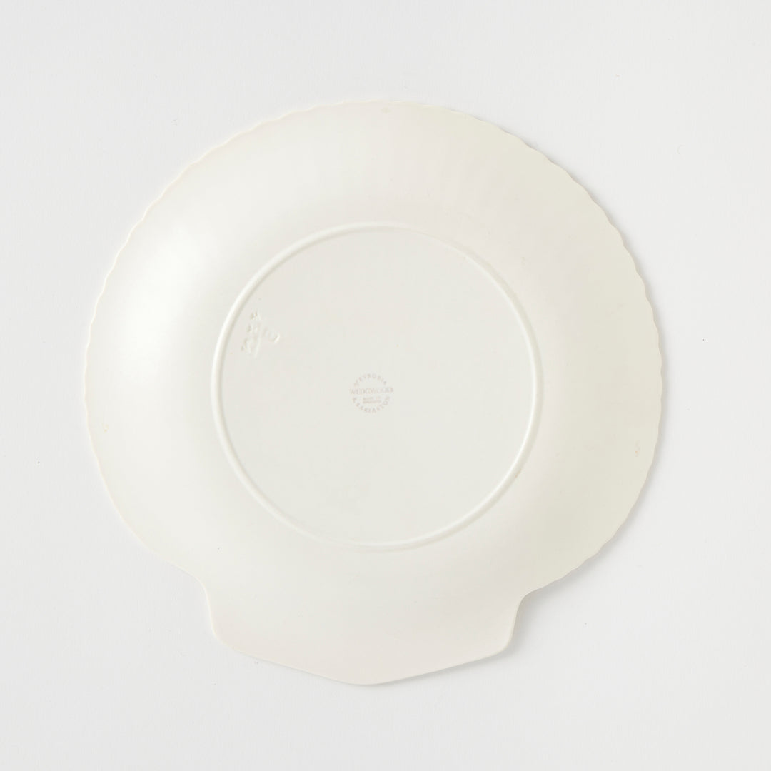 Set of 6 Wedgwood Vintage Nautilus Plates