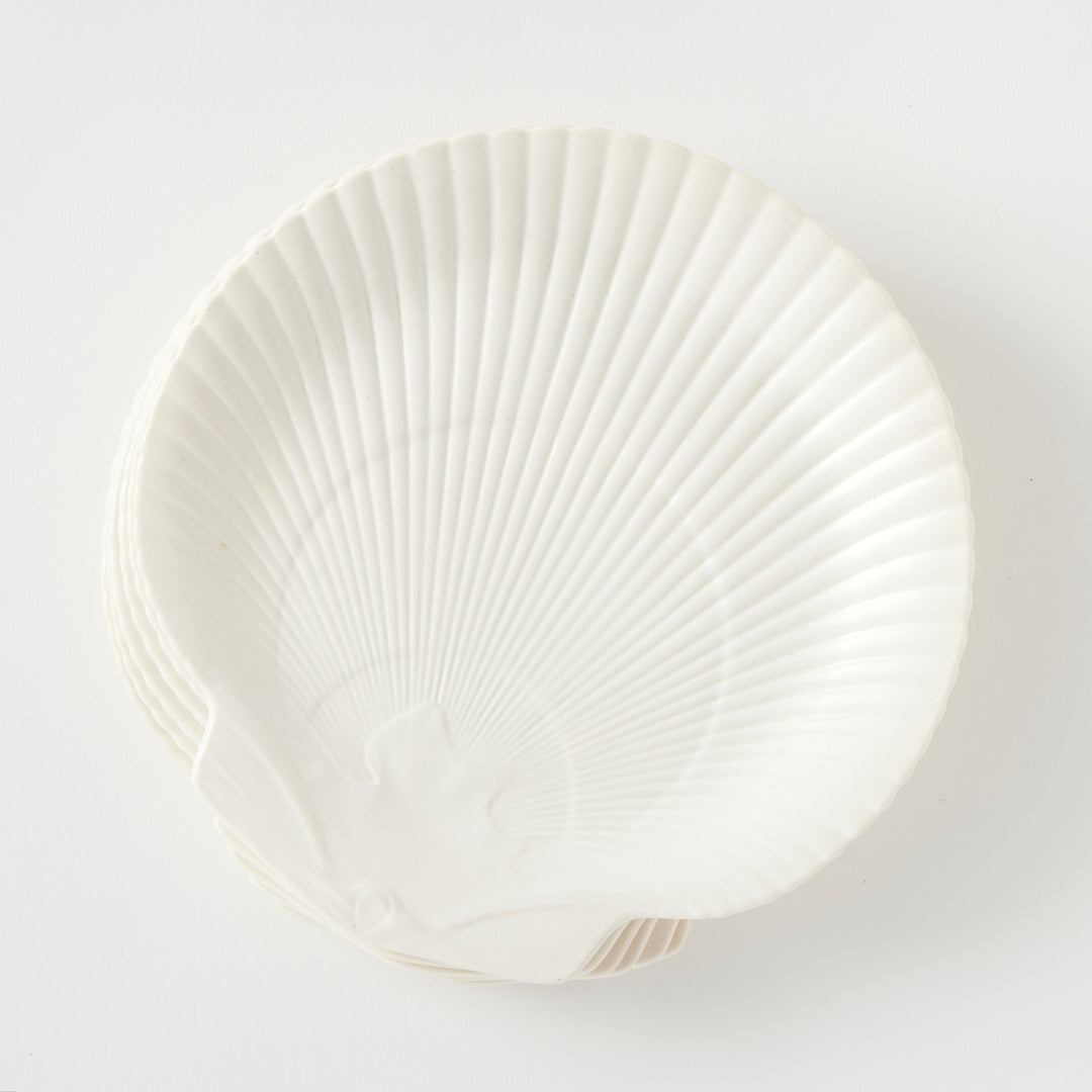 Set of 6 Wedgwood Vintage Nautilus Plates