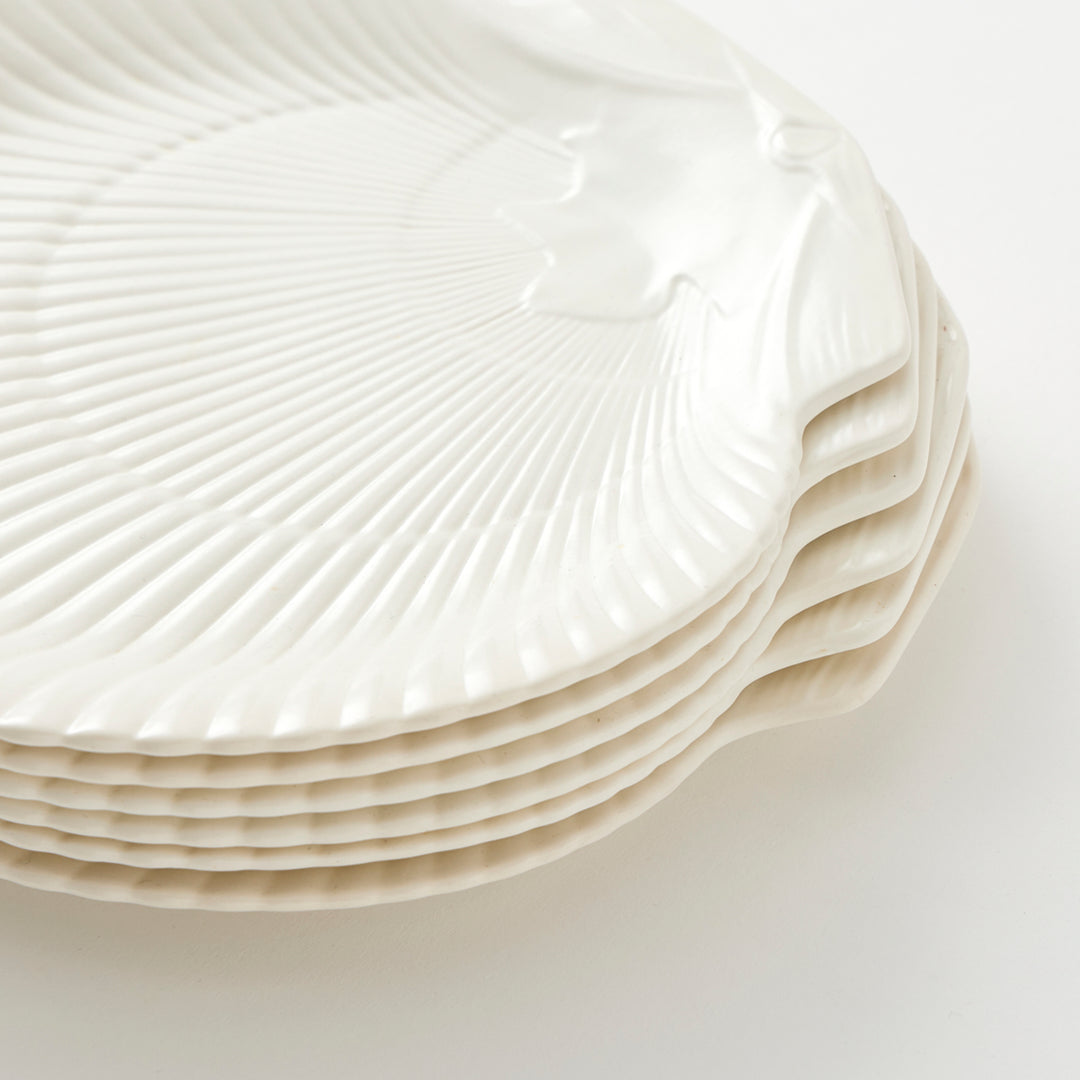 Set of 6 Wedgwood Vintage Nautilus Plates