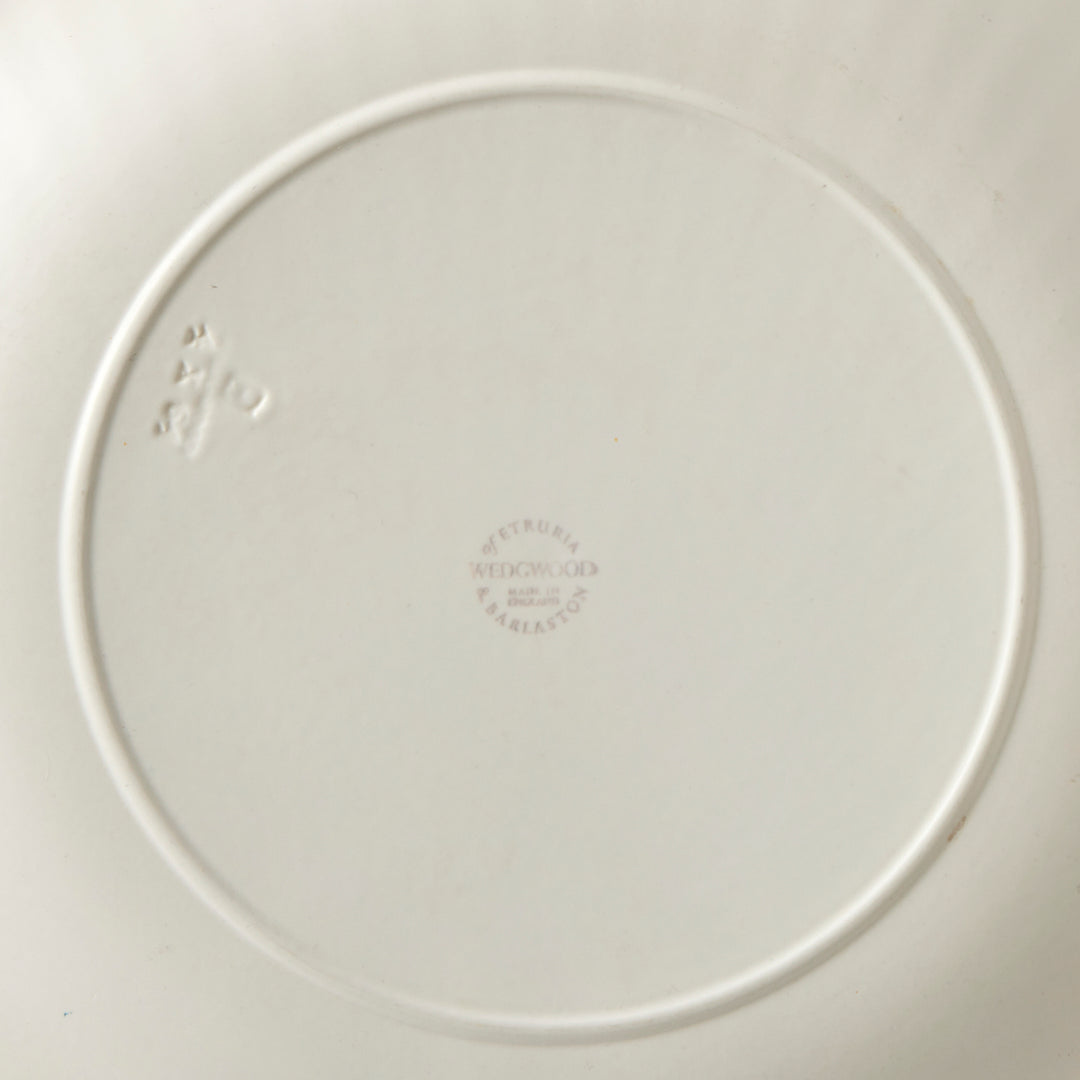 Set of 6 Wedgwood Vintage Nautilus Plates
