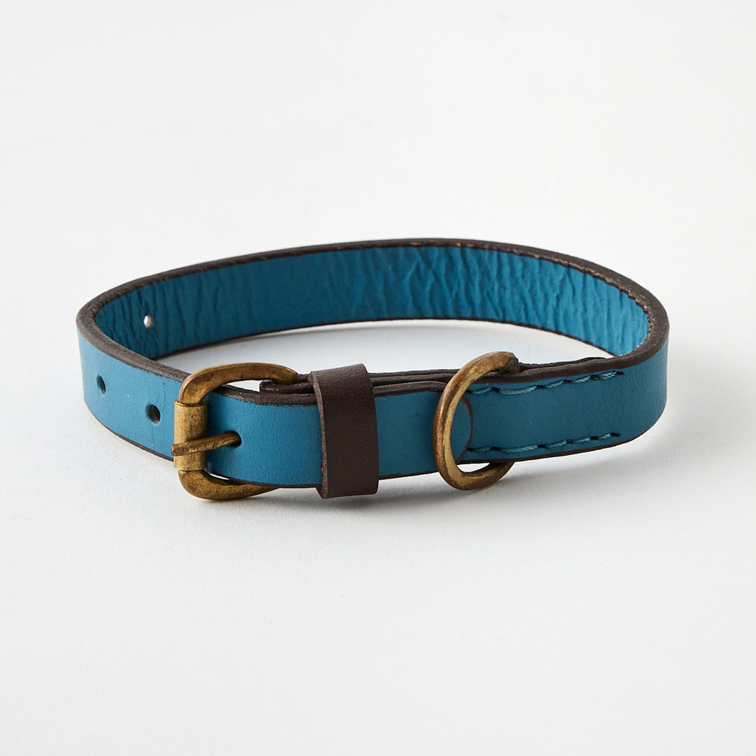 Bald Collar in Blue