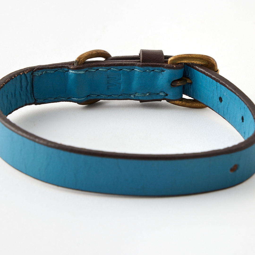 Bald Collar in Blue