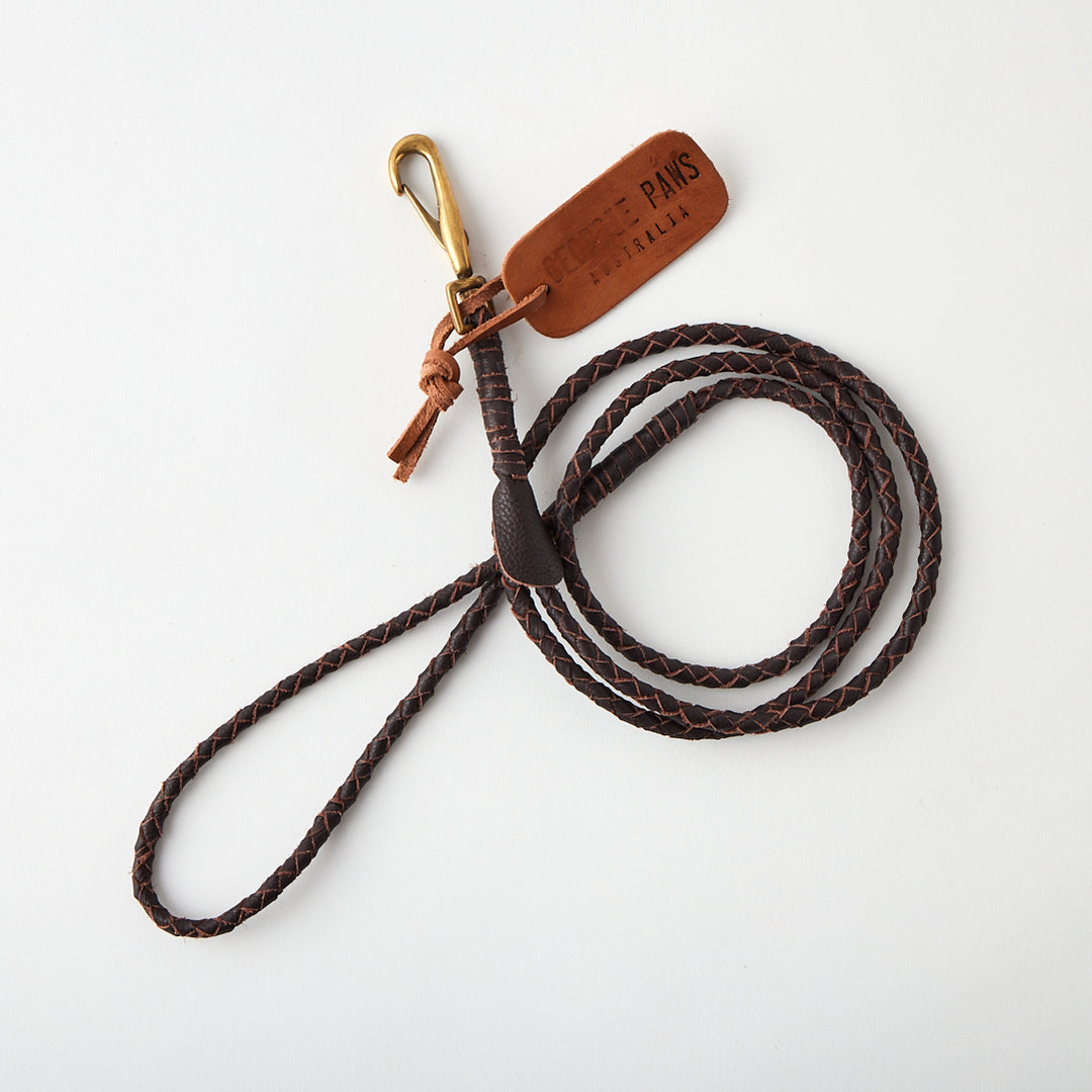 Lulu Lead in Chicory