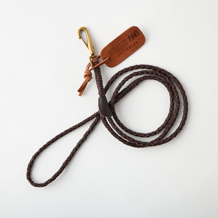 Lulu Lead in Chicory