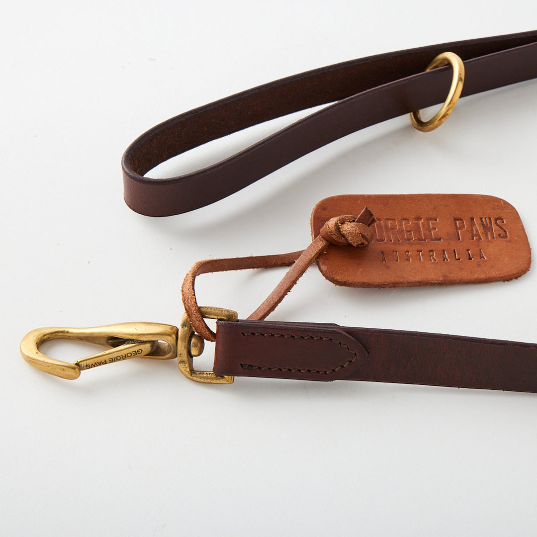 Bald Lead in Chicory