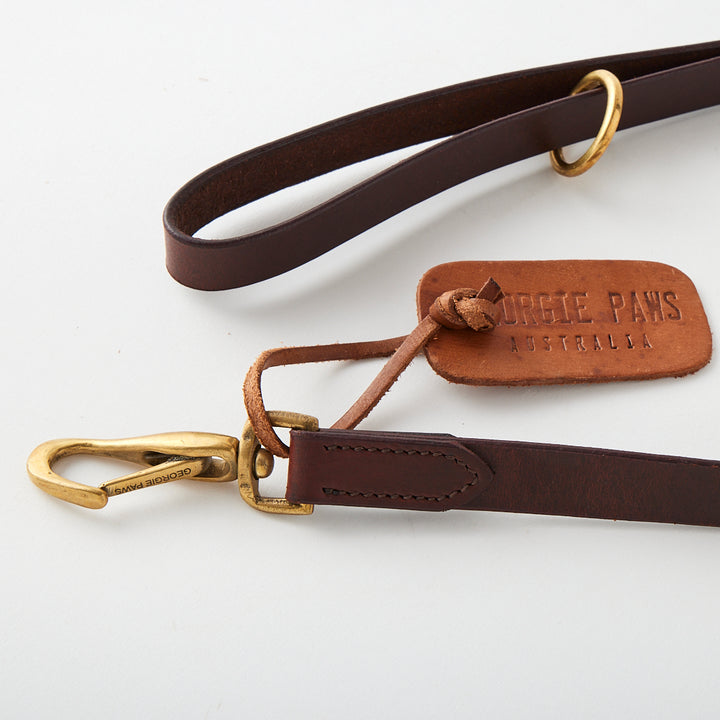 Bald Lead in Chicory