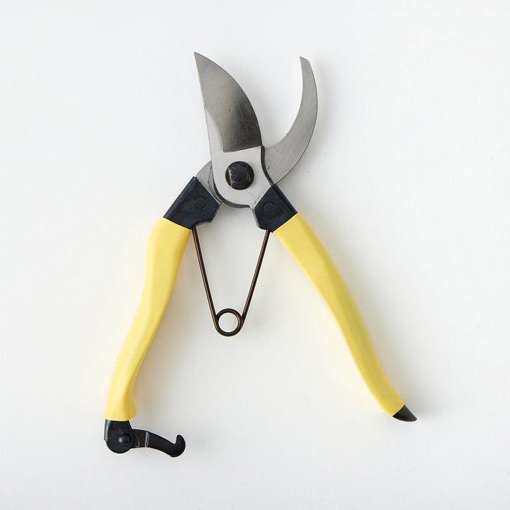 Niwaki Mainichi Clippers