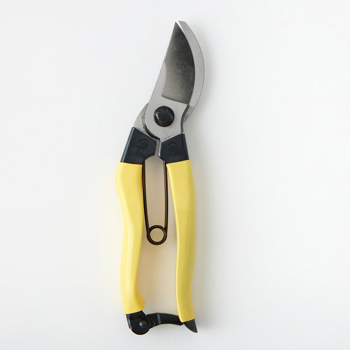 Niwaki Mainichi Clippers
