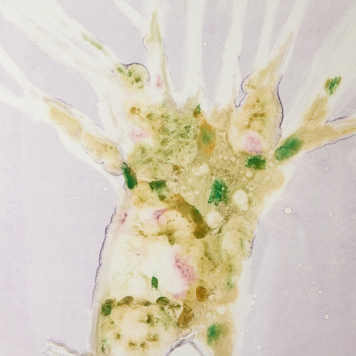 Josie Merck, White Horse with Sycamore III