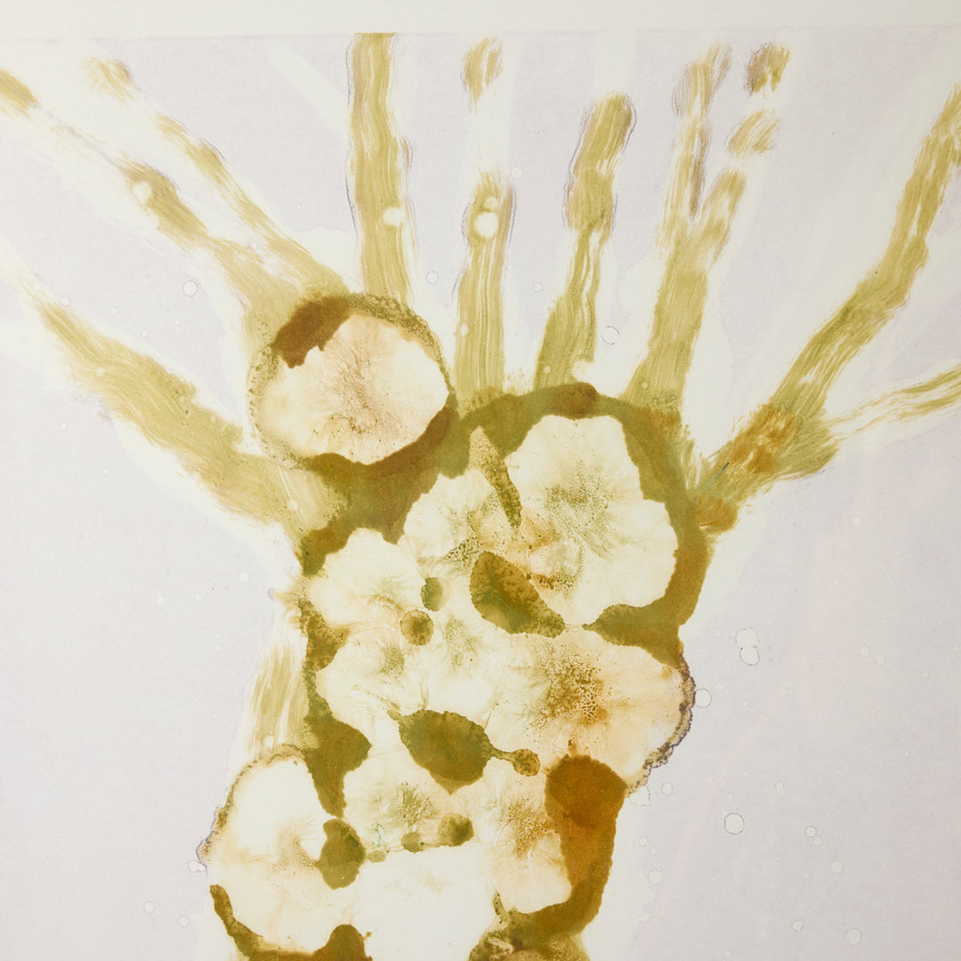 Josie Merck, White Horse with Sycamore II