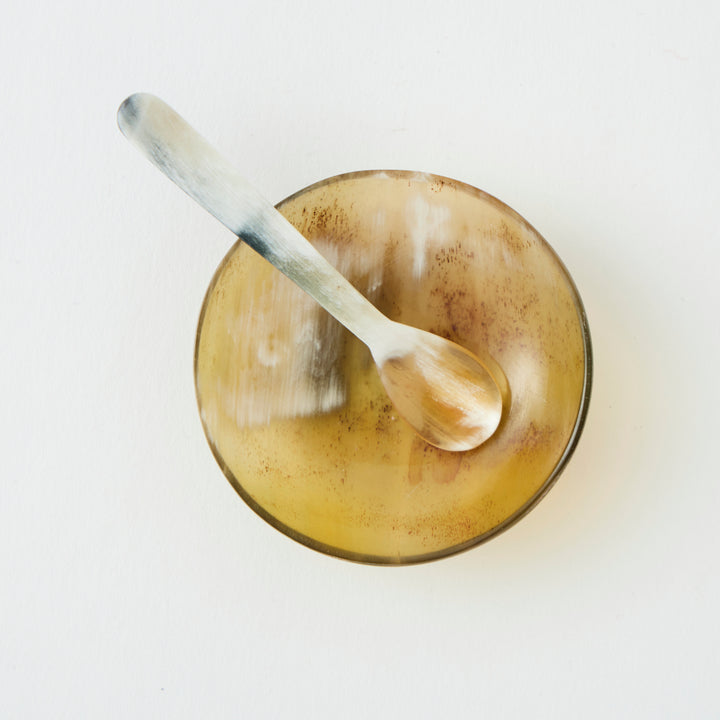 Horn Salt Cellar &amp; Spoon Set