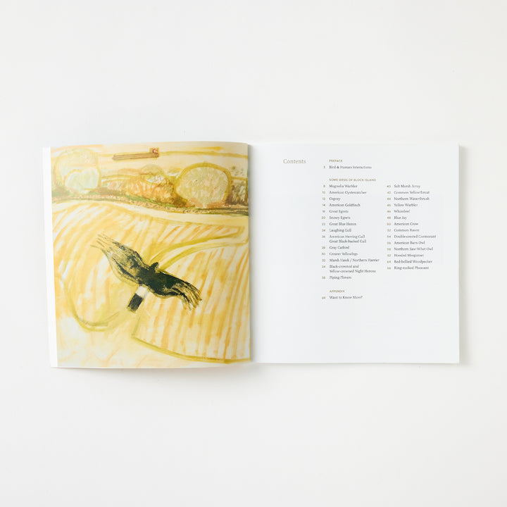 Josie Merck and Kim Gaffett, Some Birds of Block Island