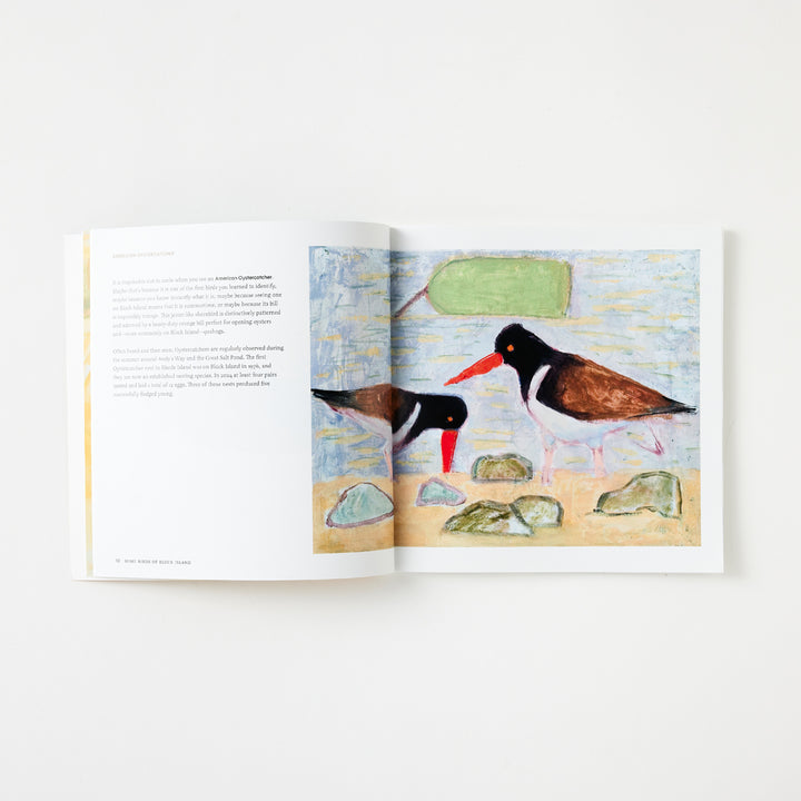 Josie Merck and Kim Gaffett, Some Birds of Block Island