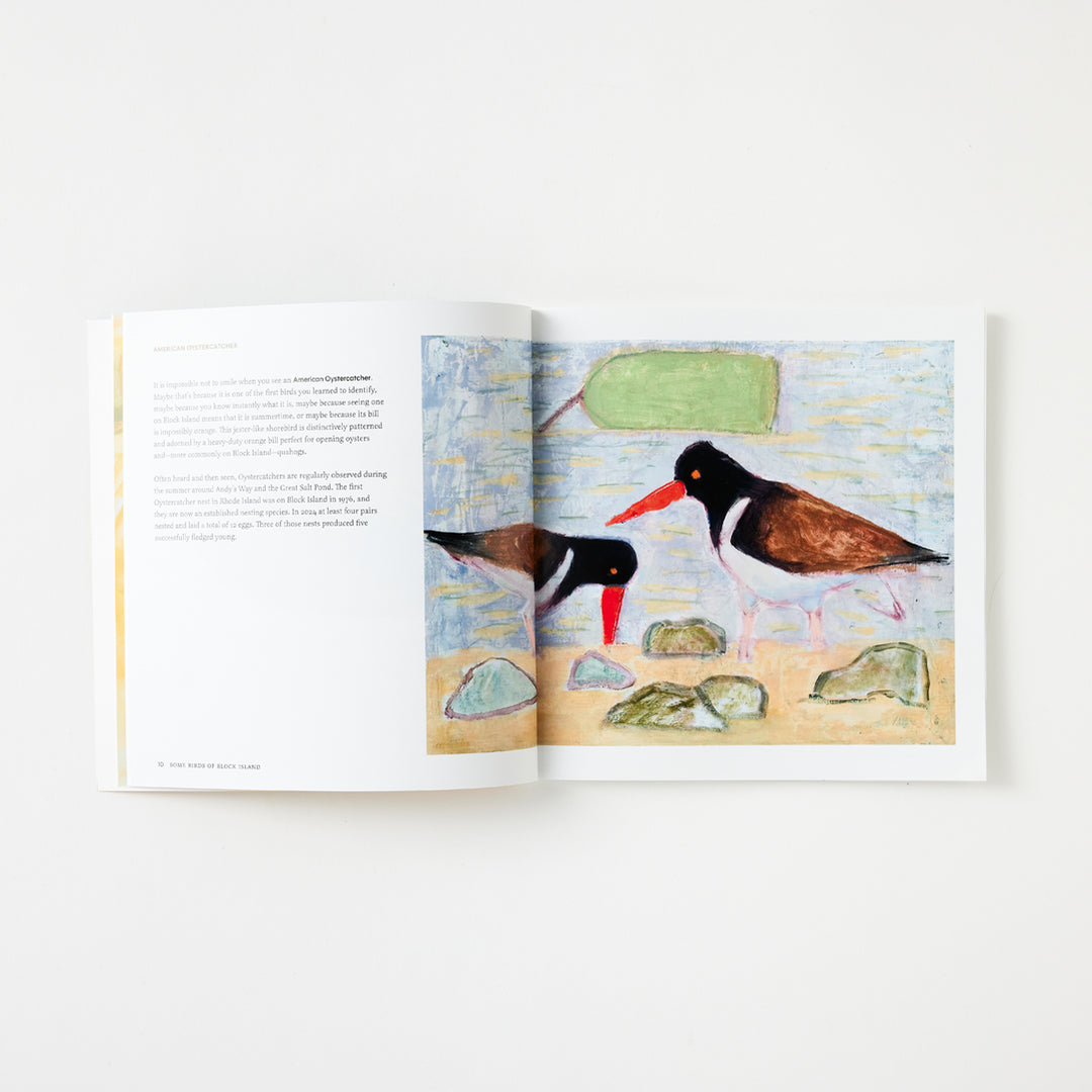 Josie Merck and Kim Gaffett, Some Birds of Block Island – Tori