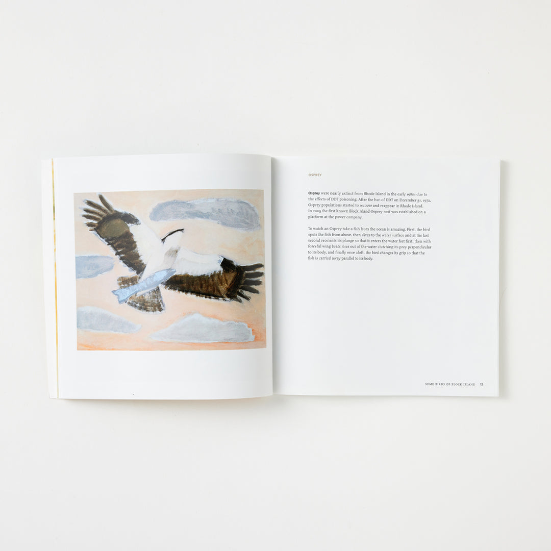 Josie Merck and Kim Gaffett, Some Birds of Block Island