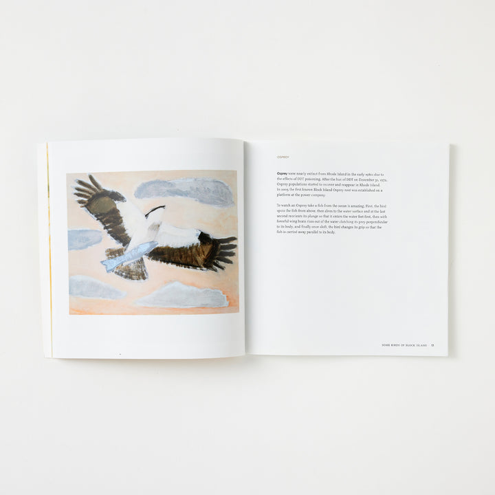 Josie Merck and Kim Gaffett, Some Birds of Block Island