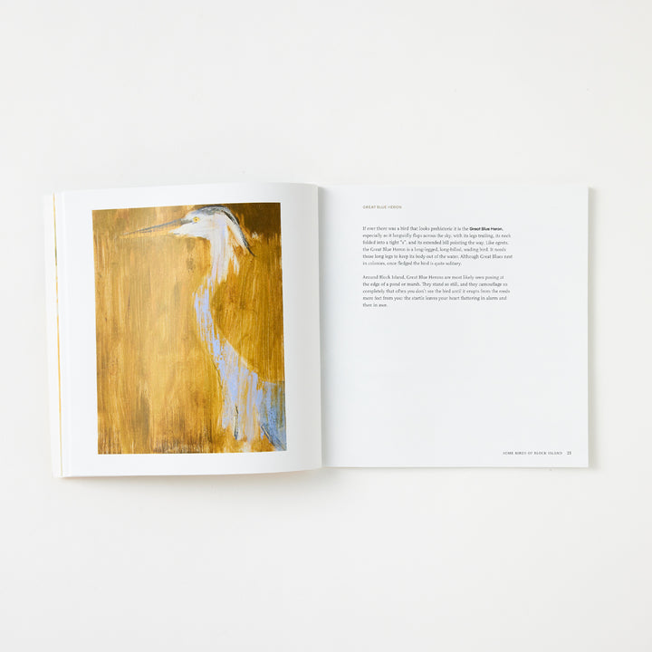 Josie Merck and Kim Gaffett, Some Birds of Block Island