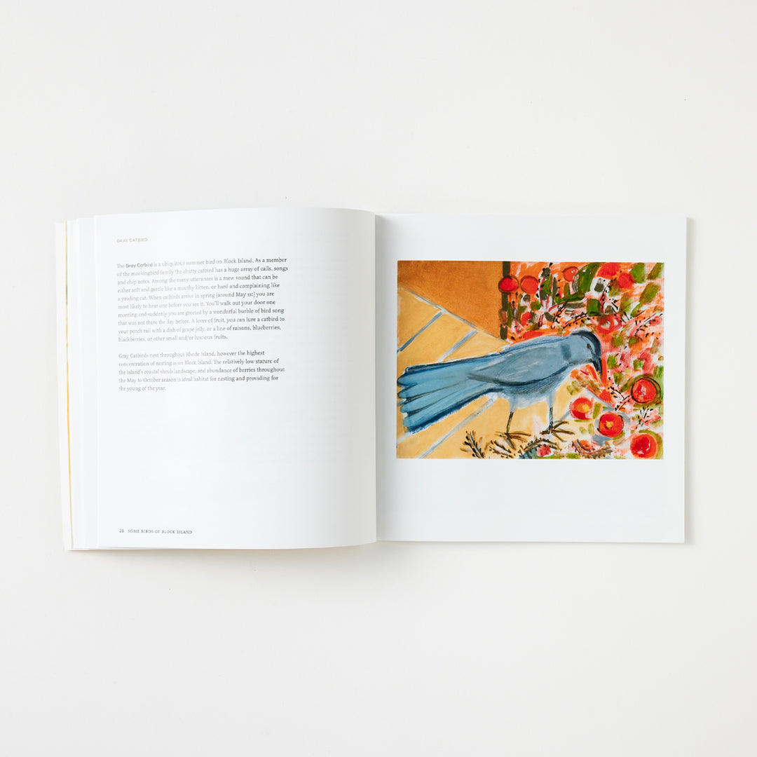 Josie Merck and Kim Gaffett, Some Birds of Block Island