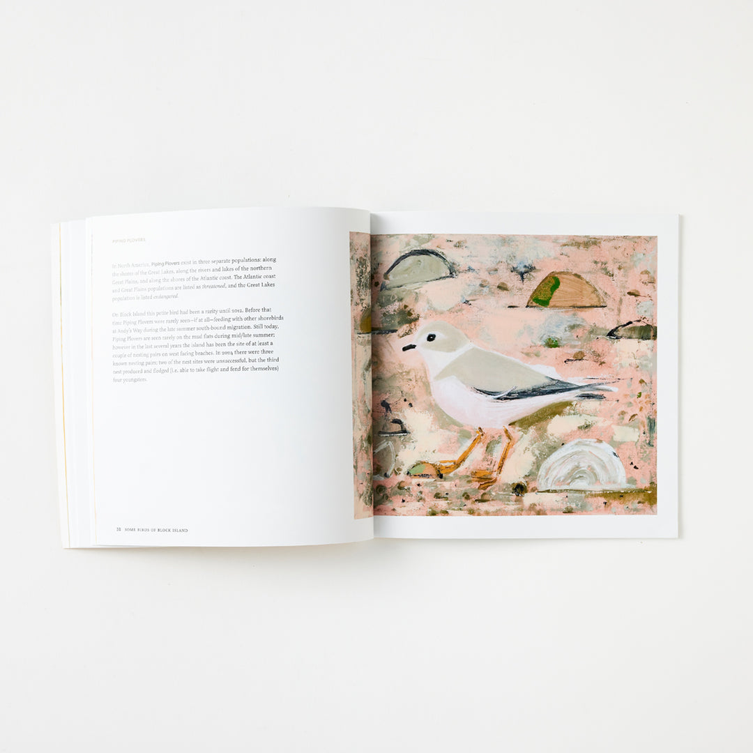 Josie Merck and Kim Gaffett, Some Birds of Block Island