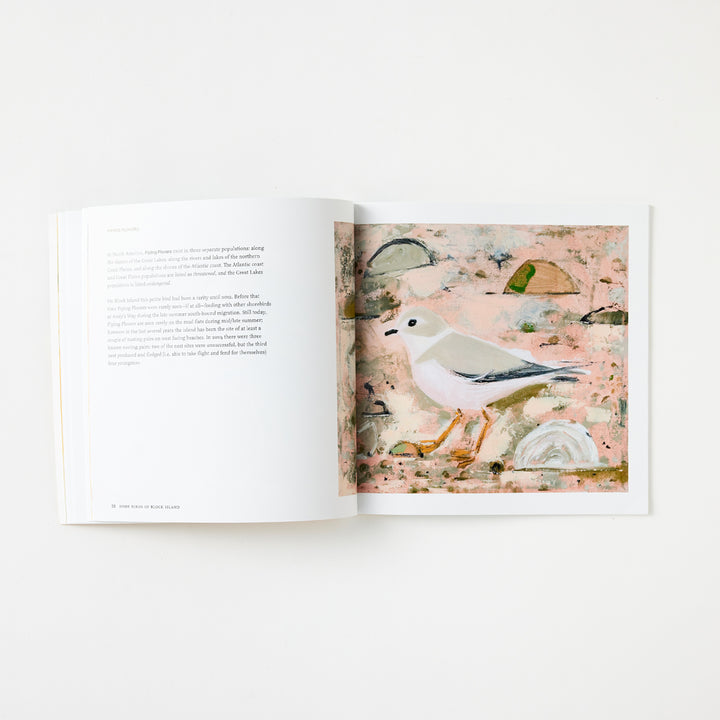 Josie Merck and Kim Gaffett, Some Birds of Block Island