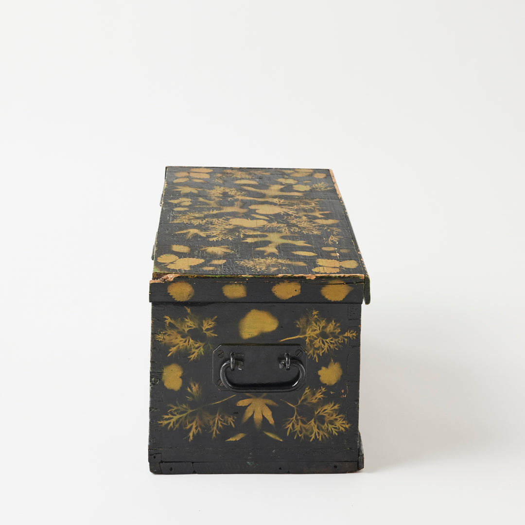 Antique Painted Chest in Leaf Design, American, Early 20th Century