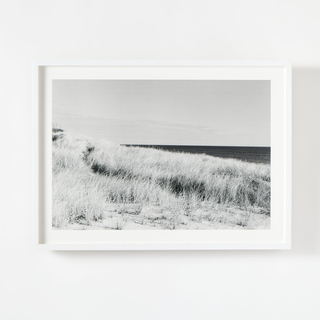 Dune Grasses, Looking East