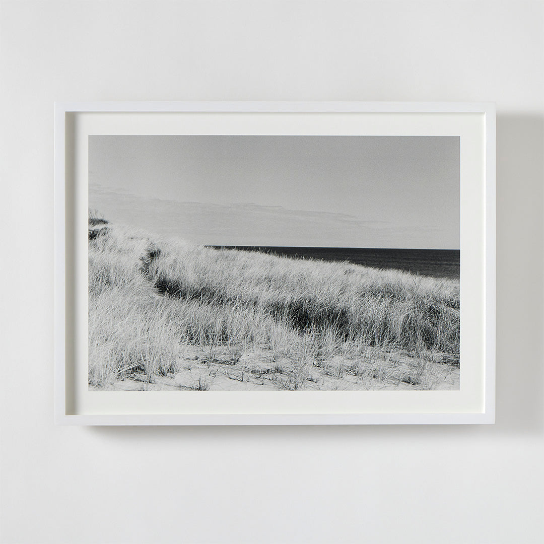 Dune Grasses, Looking East