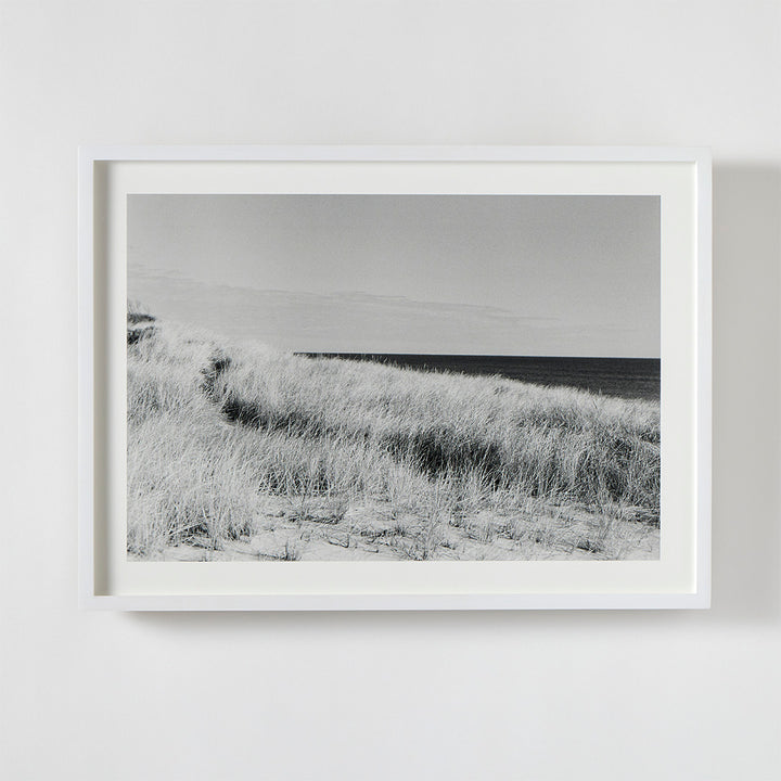 Dune Grasses, Looking East