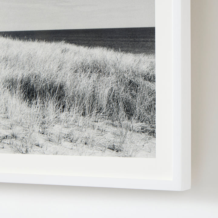 Dune Grasses, Looking East