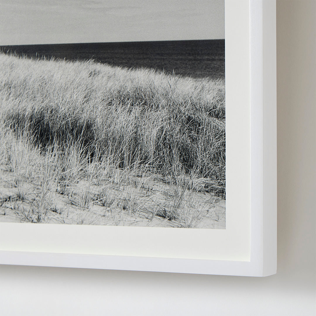 Dune Grasses, Looking East