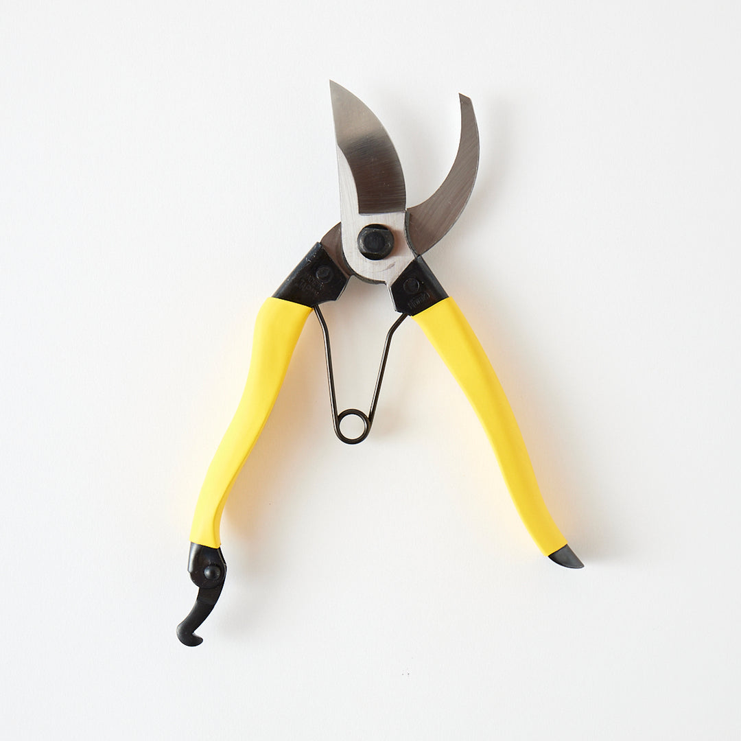Niwaki Mainichi Clippers