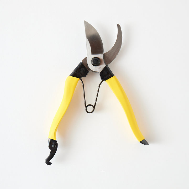 Niwaki Mainichi Clippers