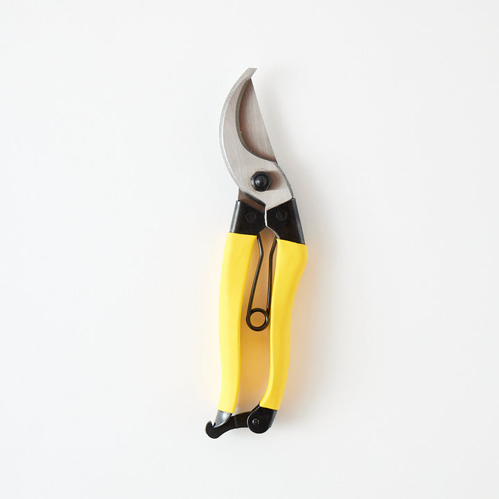 Niwaki Mainichi Clippers