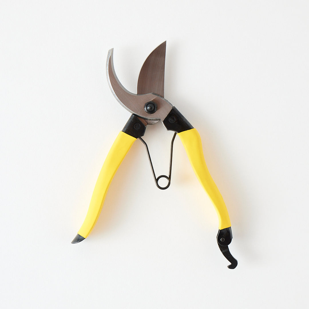 Niwaki Mainichi Clippers