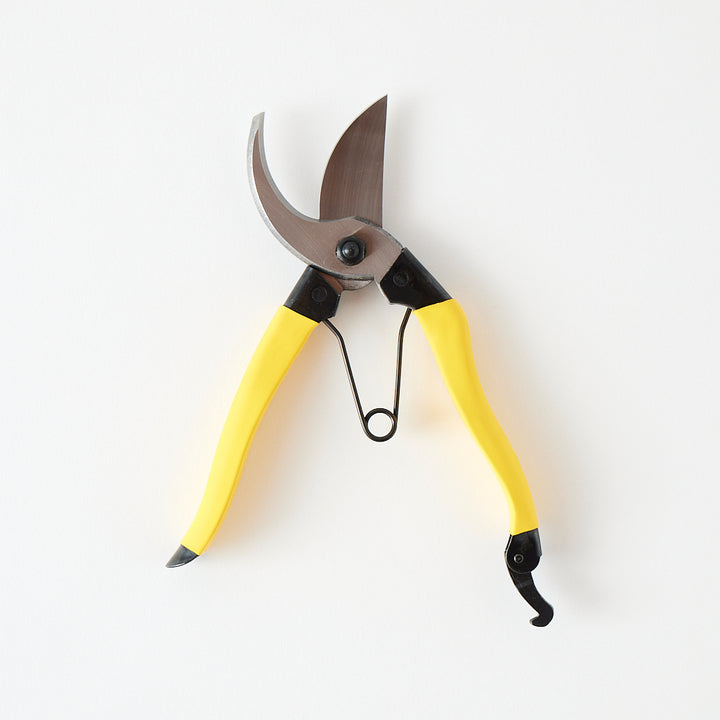 Niwaki Mainichi Clippers