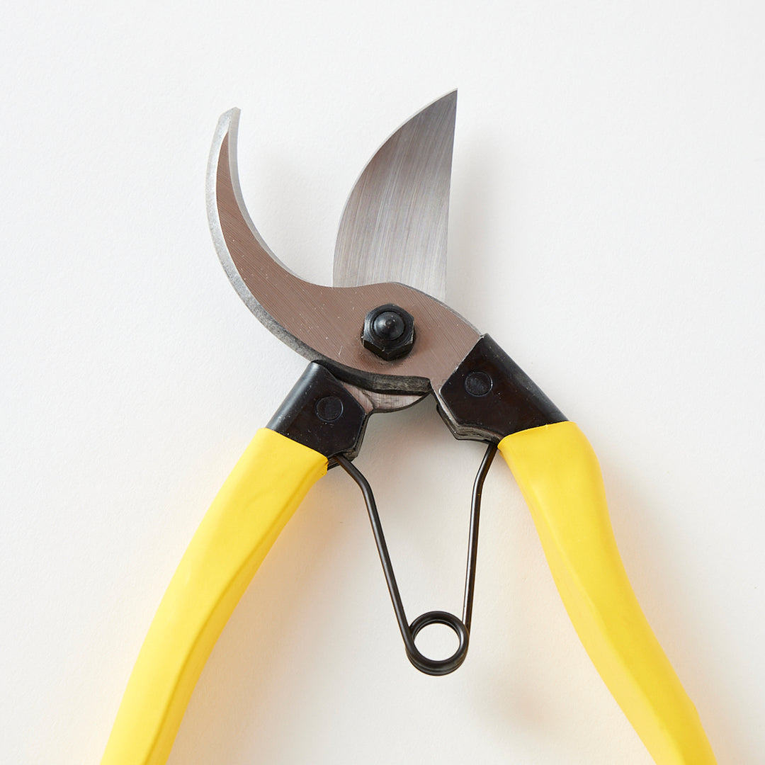 Niwaki Mainichi Clippers