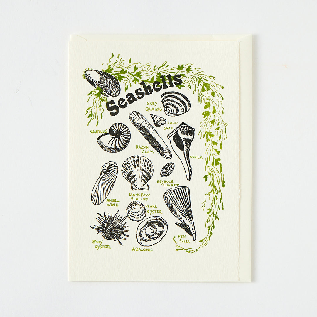 Letterpress "Seashells" Card