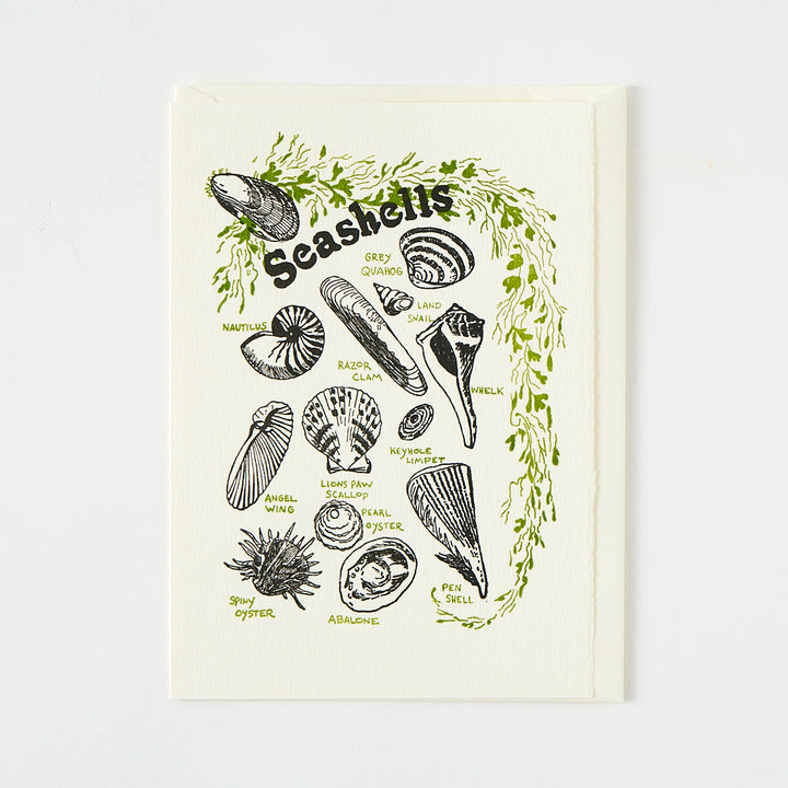 Letterpress "Seashells" Card