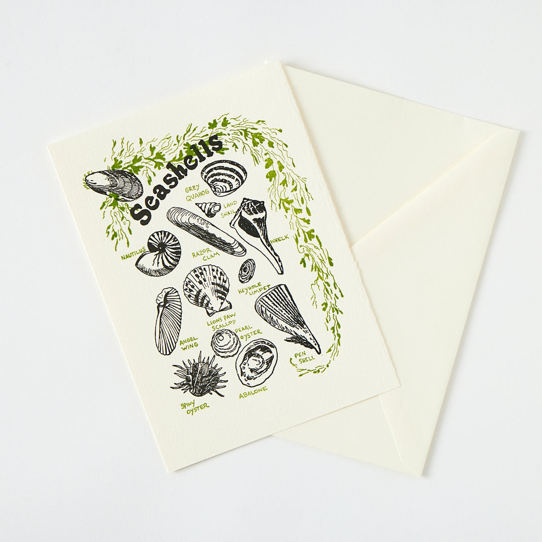 Letterpress "Seashells" Card