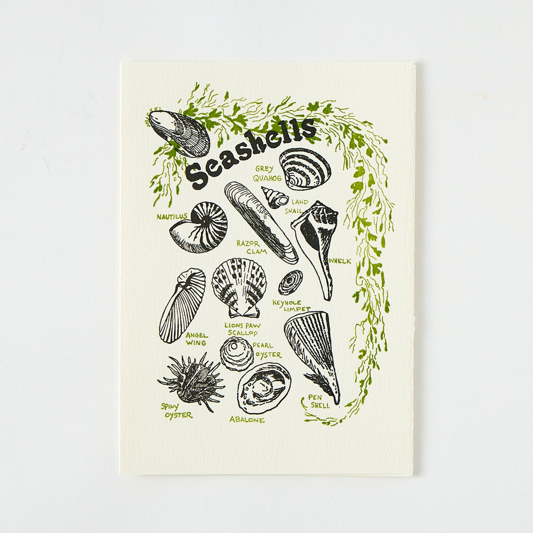 Letterpress "Seashells" Card