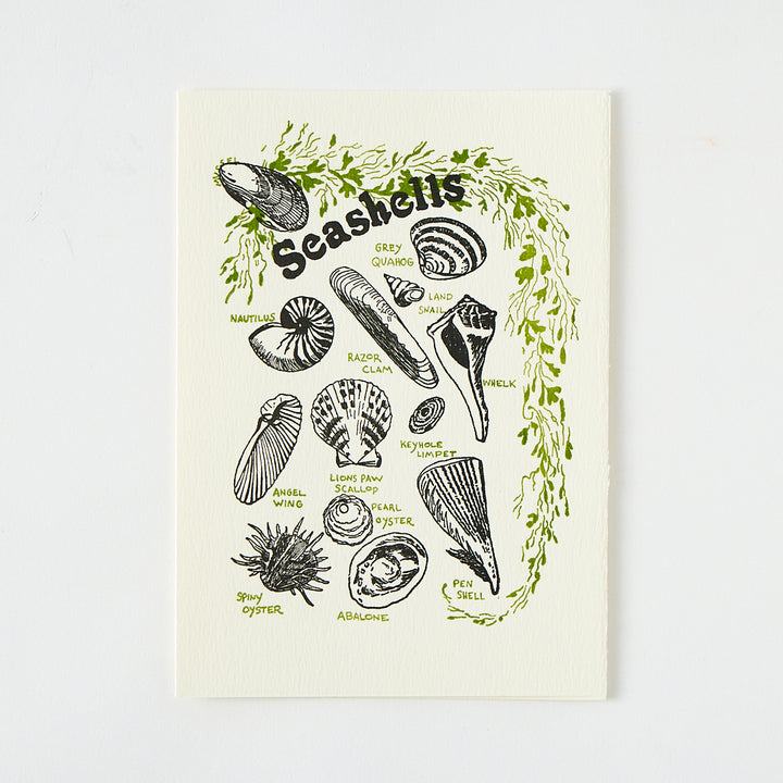 Letterpress "Seashells" Card