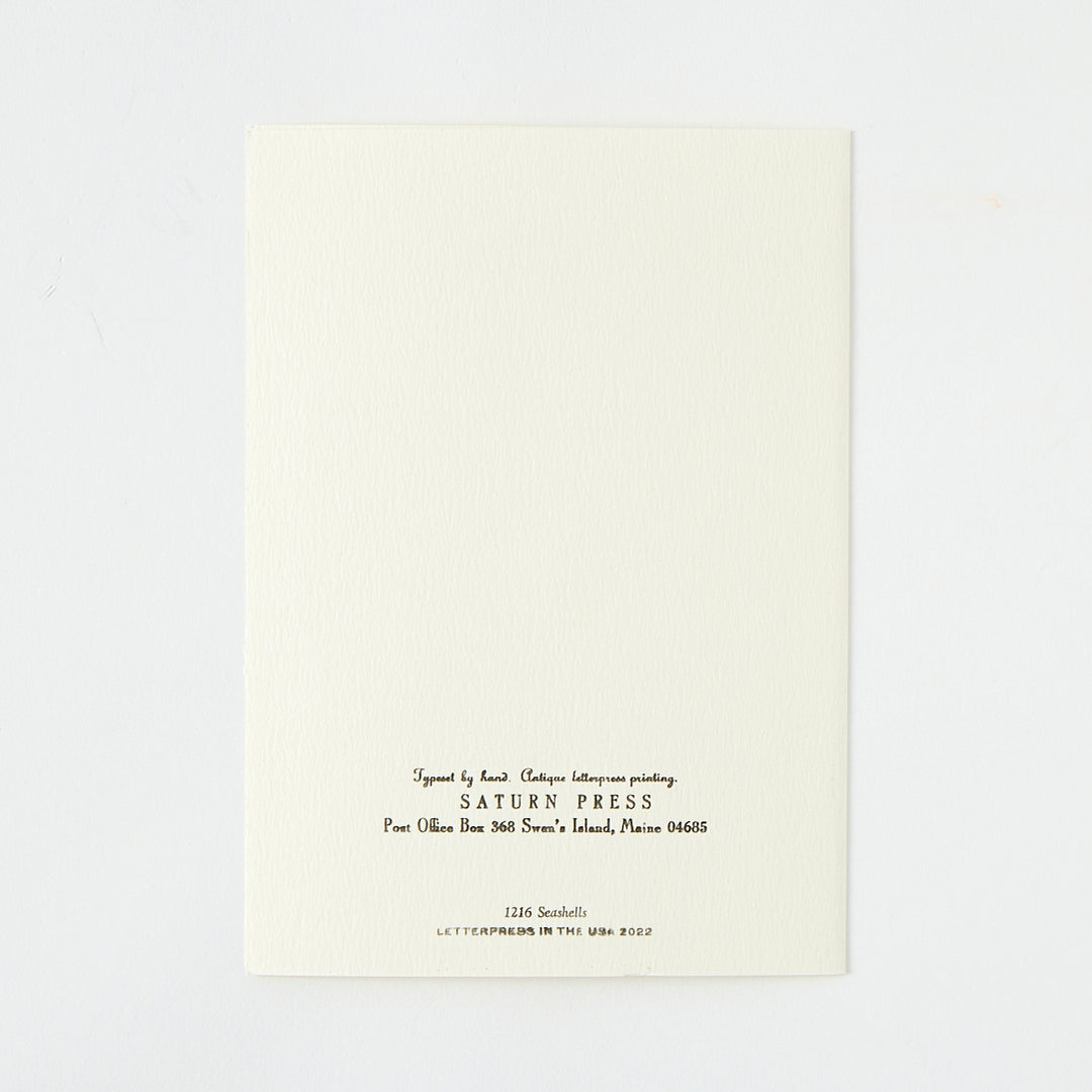 Letterpress "Seashells" Card