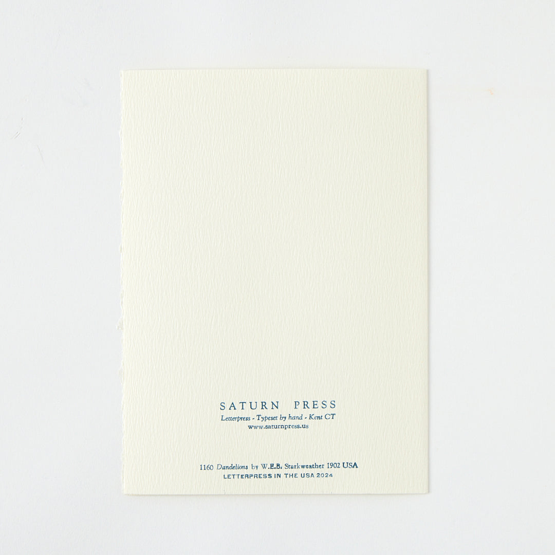Letterpress "Dandelions" Card