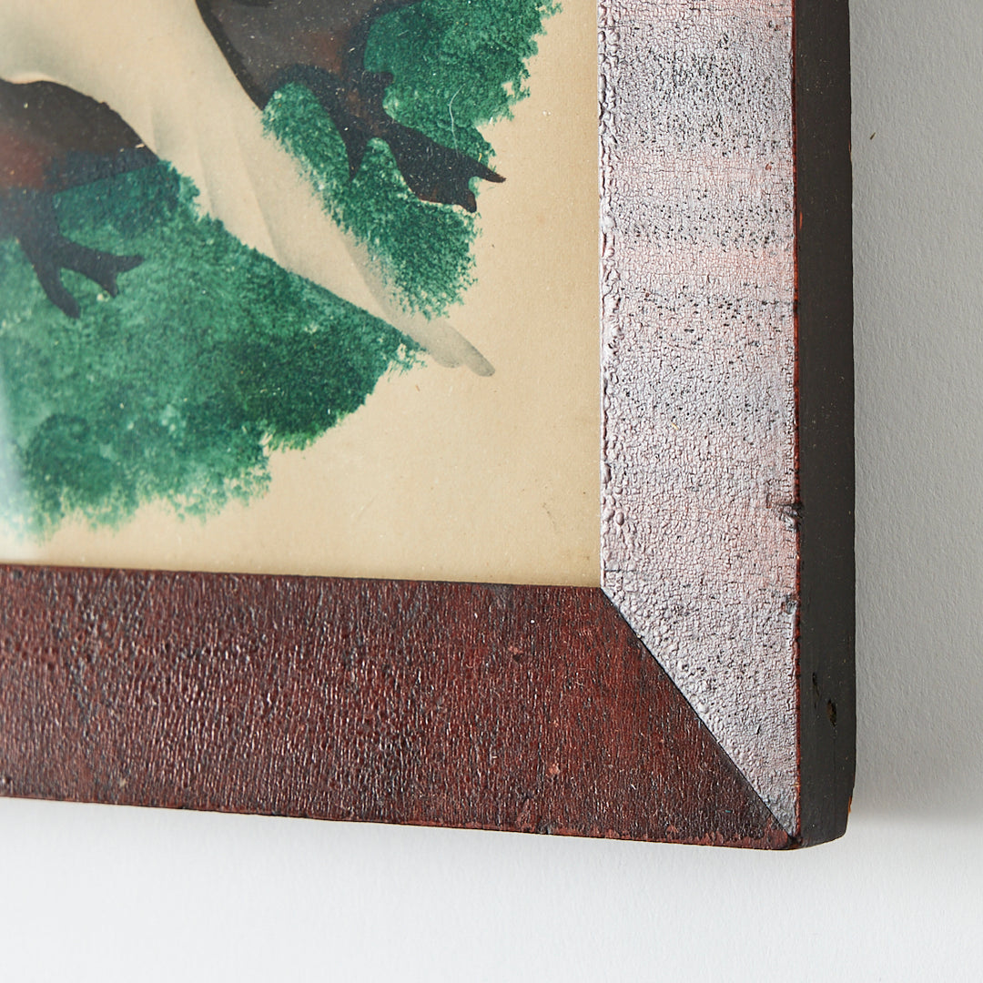19th Century Dove Watercolor, Original Frame