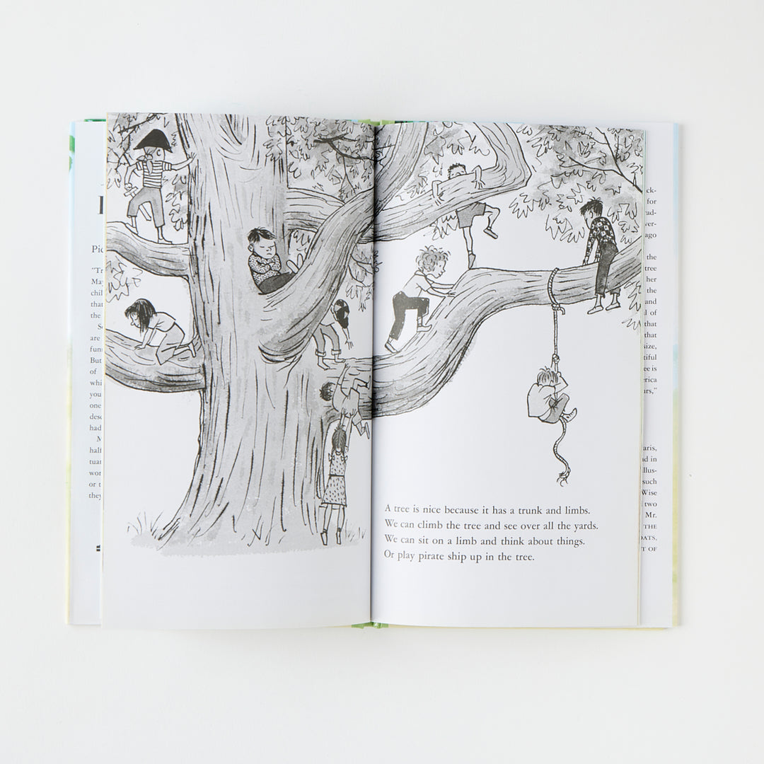 Janice May Udry, A Tree Is Nice