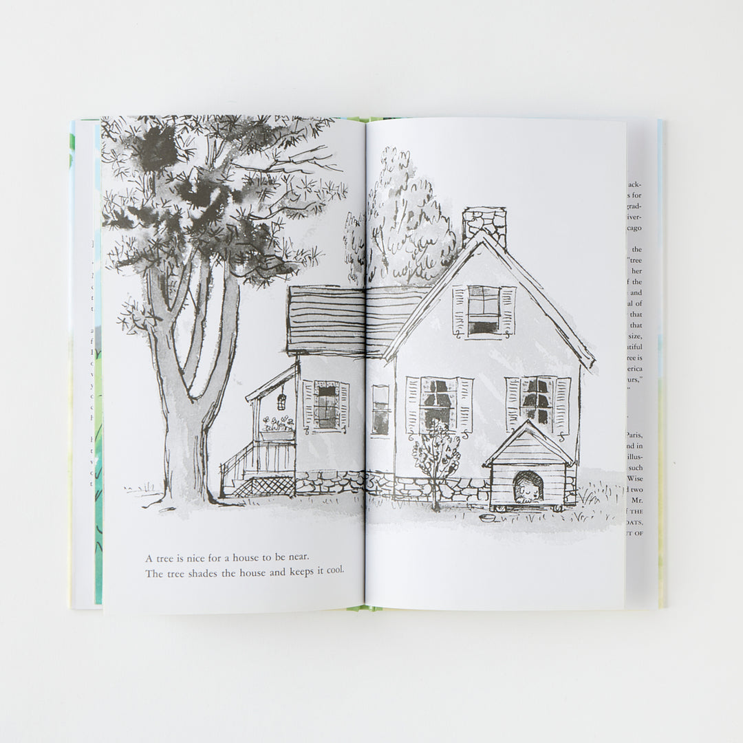 Janice May Udry, A Tree Is Nice
