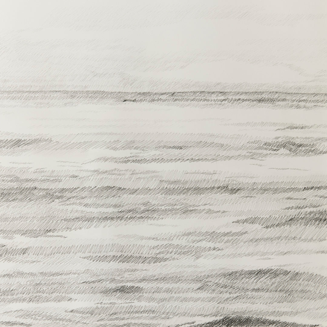 Sarah Bird, I Asked the Ocean 