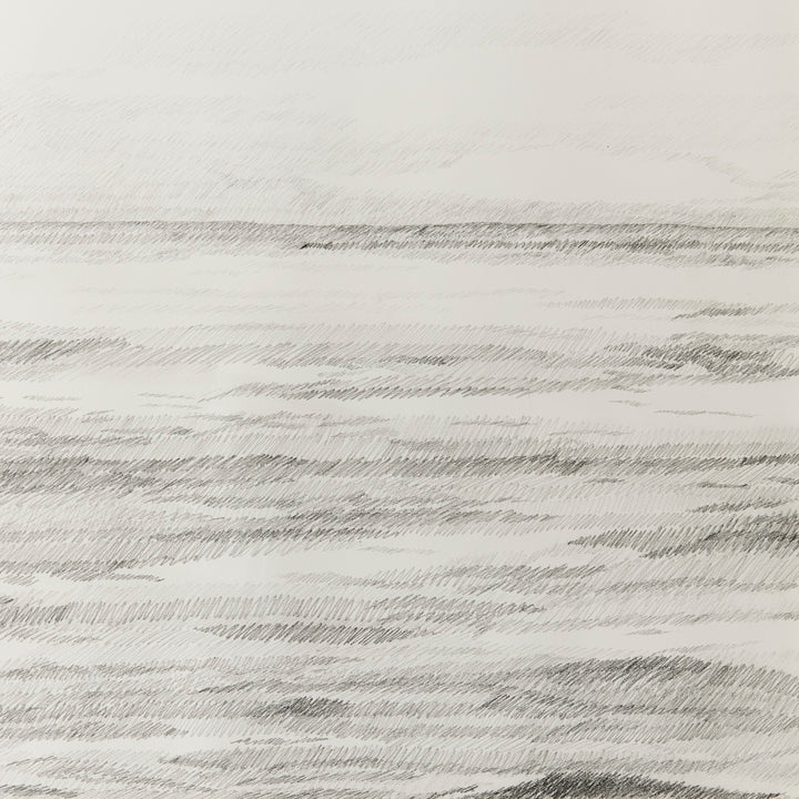 Sarah Bird, I Asked the Ocean 